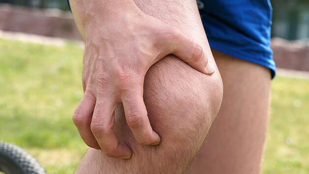 Knie, Kreuzbandriss