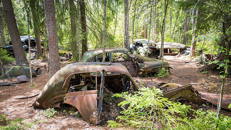 Autofriedhof Schweden Schwedischer Wald Autowracks Verlassene Autos Oldtimer Wrack Rost Verfall Moos Natur R&uuml;ckeroberung Schrottplatz Car Cemetery Lost Place Spooky Atmosph&auml;re Nebel Stille Melancholie Endzeit Apokalypse Dunkle Stimmung Fotomotiv Urban Exploration Urbex Dark Tourism Horror Reiseziele Europa Gruselige Orte Kyrk&ouml; Mosse Kyrko Mosse Sm&aring;land Reise Inspiration Unheimlich