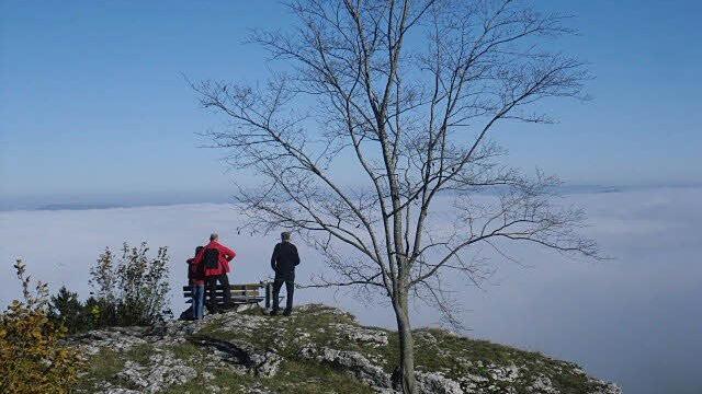 Userfoto: Otto Arnold