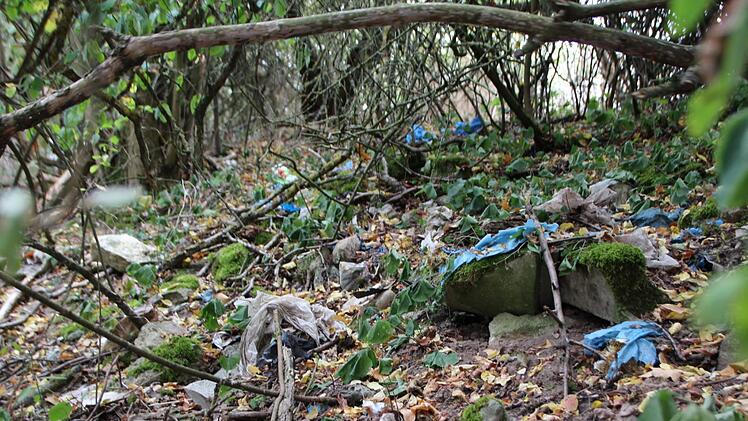 Selbst für den Laien ist ersichtlich, dass die alte Deponie bei Lonnerstadt nicht mehr auf der Höhe der Zeit ist. Aus der Erde des Osthangs quillt förmlich der Abfall.  Foto:  Christian Bauriedel