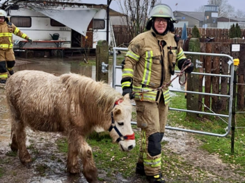 Feuerwehreinsatz