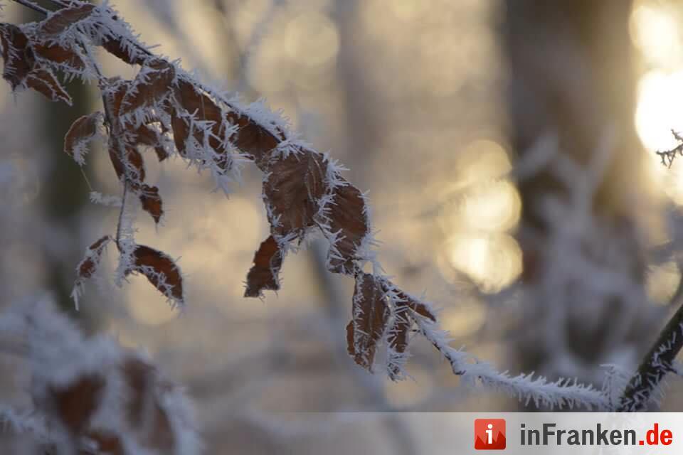 Eis und Schnee in Franken - die schönsten Winterleserfotos