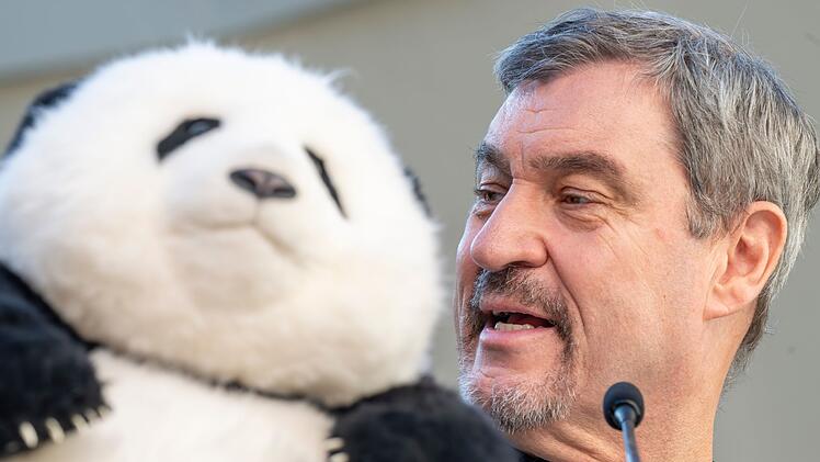 Panda-PK im Tierpark Hellabrunn