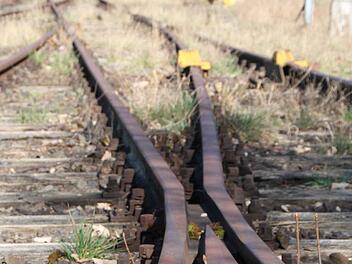 Am Bahnhof Bad Brückenau liegen bis zu vier Gleise nebeneinander. Foto: Ulrike Müller