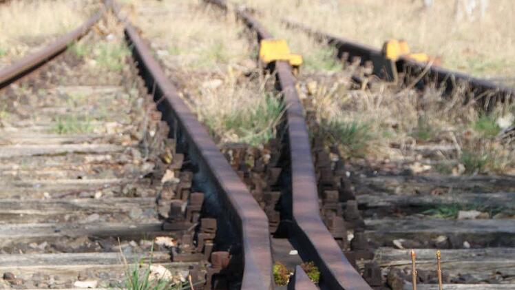 Am Bahnhof Bad Brückenau liegen bis zu vier Gleise nebeneinander. Foto: Ulrike Müller
