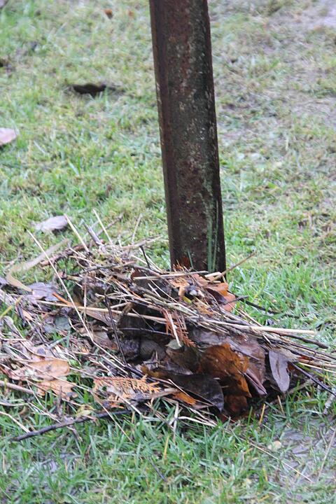 Land unter in Wallenfels