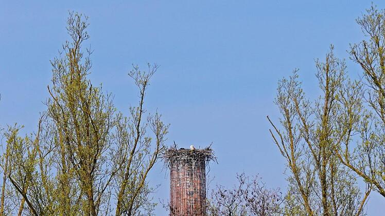 Hoch droben auf dem Turm der ehemaligen Wollwarenfabrik Wirth Heinz Czellnik