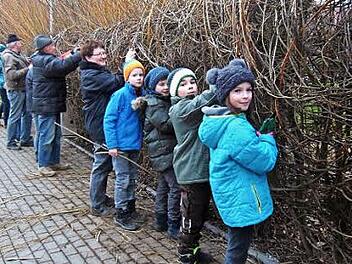 Auch Kinder helfen mit, wenn im Fr&uuml;hjahr der 1996 angelegte Weidentunnel auf dem Spielplatz geschnitten und neu geflochten werden muss. Am 10. M&auml;rz machen sich die Burkheimer Gartenfreunde wieder an die Arbeit. Foto: Bernd Kleinert