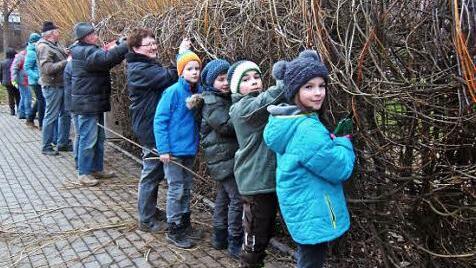 Auch Kinder helfen mit, wenn im Fr&uuml;hjahr der 1996 angelegte Weidentunnel auf dem Spielplatz geschnitten und neu geflochten werden muss. Am 10. M&auml;rz machen sich die Burkheimer Gartenfreunde wieder an die Arbeit. Foto: Bernd Kleinert
