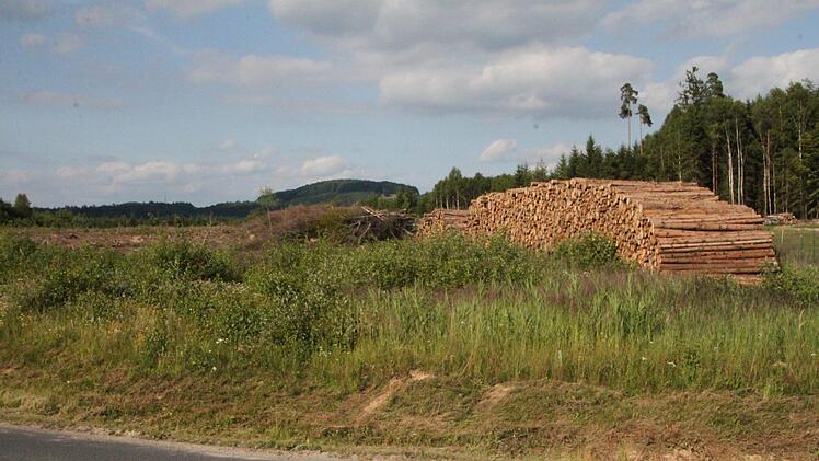 Das Holz liegt zum Abtransport bereit. Foto: Ulrike Müller