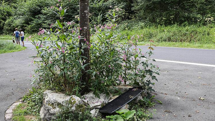 Urlauber haben Wendehammer am Wölmer Steg Hinterlassenschaften liegen lassen. Foto: Barbara Herbst