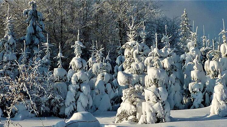 Winter 2006 in der Rennsteigregion  Fotos/Repro: Gerd Fleischmann