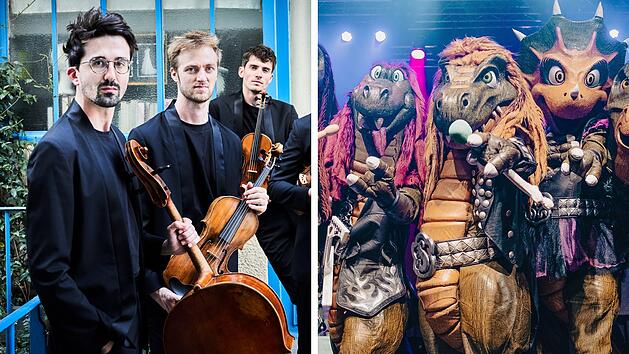 W&uuml;rzburg 2026: Konzerte, Shows und Events