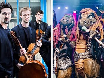 W&uuml;rzburg 2026: Konzerte, Shows und Events