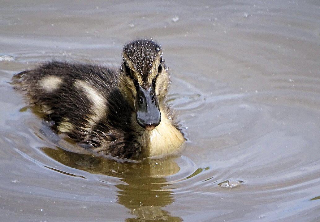 Tiergarten Nürnberg