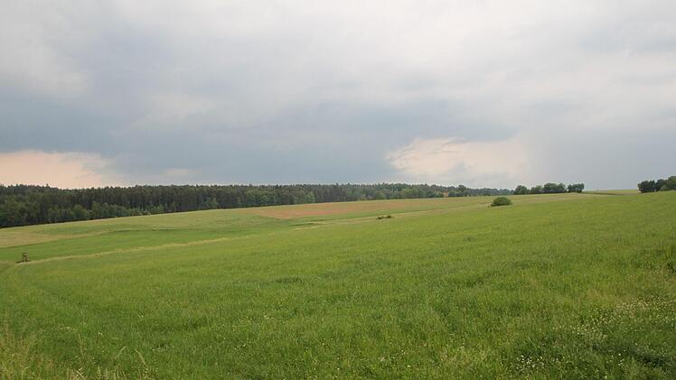 Um diese Fläche geht es: Sie liegt in einer Senke zwischen Bernbrunner Straße und Wiesenstraße nahe bei Unterleichtersbach. Foto: Ulrike Müller