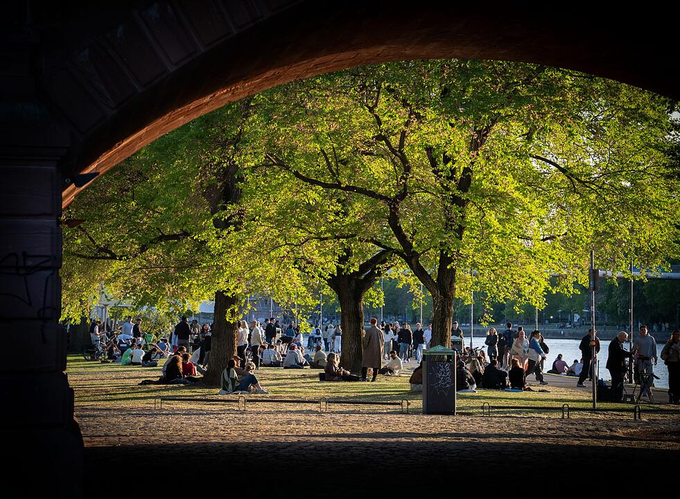 Abendstimmung am Maimnufer