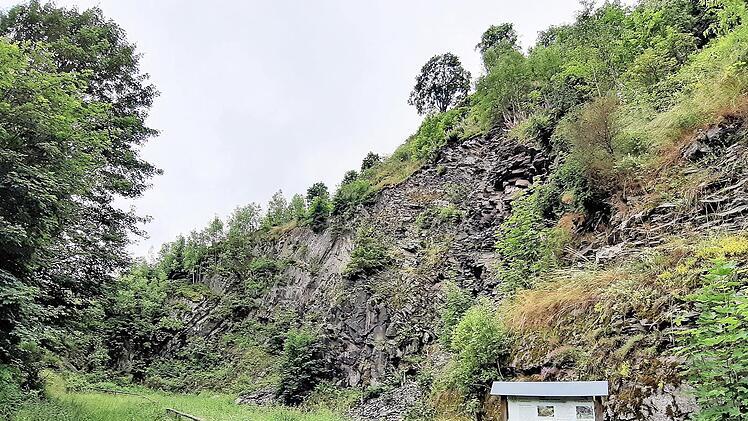 Eine große Tafel mit vielen Erklärungen zum Geotop steht am Anfang des Steinbruchs – aber auch ein Gefahrenschild „Betreten verboten, Steinschlag Lebensgefahr“.