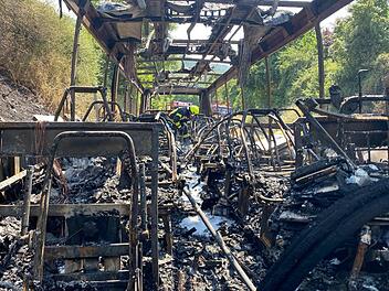 Der Linienbus brannte nach dem Unglück auf der B 287 bei Winkels völlig aus.