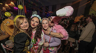 Fasching 2025 in Schweinfurt!