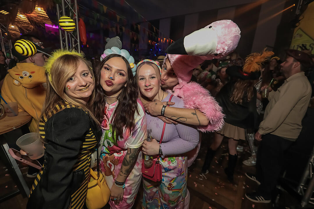 Fasching 2025 in Schweinfurt!