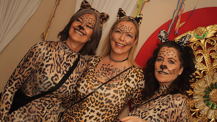 Fasching 2025 in Nürnberg!