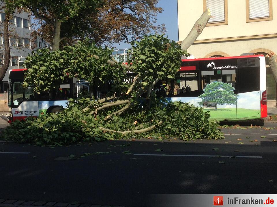 Baum stürzt in Bamberg auf Stadtbus