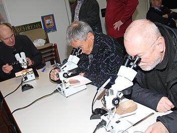 Eisenerztag: Es gab viel zu entdecken am Eisenerztag, zu dem die Umweltstation Weismain eingeladen hatte. Foto: Gerda Völk