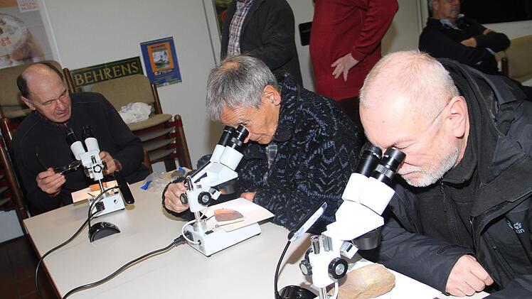 Eisenerztag: Es gab viel zu entdecken am Eisenerztag, zu dem die Umweltstation Weismain eingeladen hatte. Foto: Gerda Völk