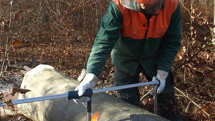 Die Arbeiten im Gemeindewald leitet weiter das Amt für Landwirtschaft, Ernährung und Forsten. Auf unserem Archivbild vermisst Forstwirt Thomas Morawietz einen Buchenstamm. Foto: Archiv/Stefan Geiger