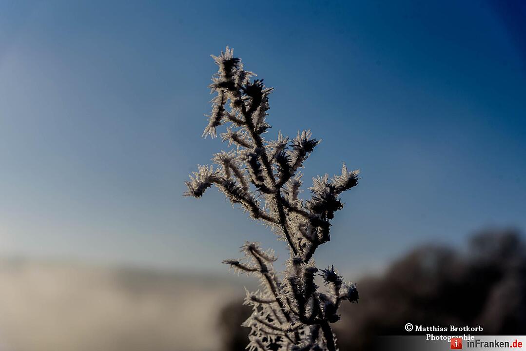 Dreikönigswochenende bei eisigen Temperaturen in Franken 2017