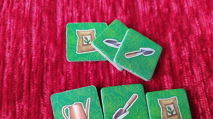 Sattgrün im Test - Familien-Legespiel zum Thema Zimmerpflanzen