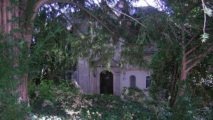 Wild romantisch waren Treppe und Haus vor der Sanierung eingewachsen. Die große Eibe stand auf einer erhaltenswerten Grotte.  Foto: Stadt Bamberg