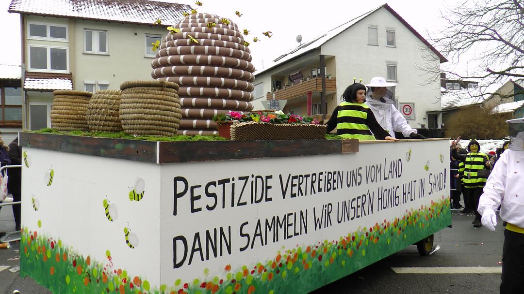 Faschingsumzug Sand am Main