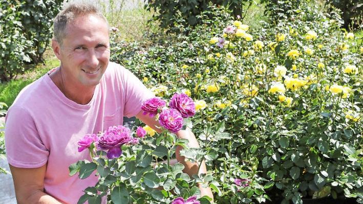 Günter Beihl ist ein Fachmann, wenn es um Rosen geht. Bei der Rosenmesse in Kronach wird er über seine Lieblingspflanzen informieren. Foto: Barbara Herbst