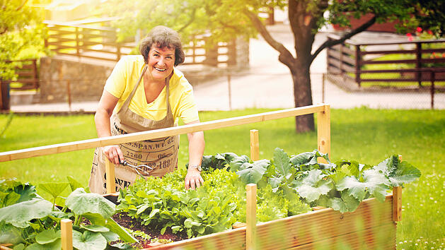 Omas beste Hausmittel gegen Schnecken - effektiv und g&uuml;nstig
