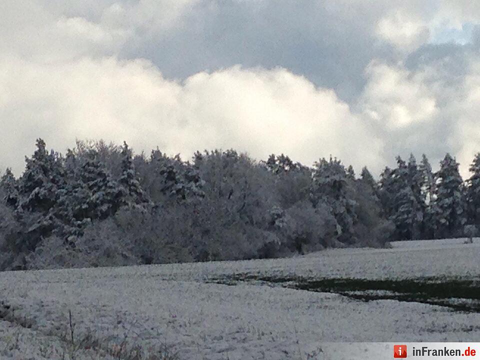 Schnee 2015 Raum Bamberg Foto: inFrankenPix Mupfi69