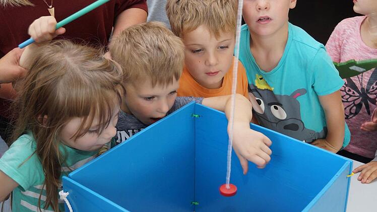 Spannend! Was da wohl noch so herumschwimmt im wundersamen Holzaquarium? Foto: Denise Burkhardt