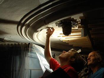 Ursula Drewello und Rainer Fick untersuchen den Stuck an der Decke der Michaelskirche. Fotos: Rainer Lutz