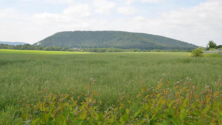 Weit hin reichende Sicht und den Schutz seiner steilen Hänge bot der Muppberg den frühen Siedlern, deren Spuren jetzt erstmals gründlicher erforscht wurden. Foto: Rainer Lutz