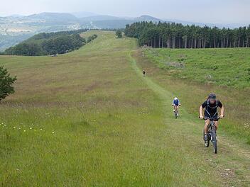 Mountainbike-Fahren ist ein Trendsport, auch in der Rhön. Nun sollen im Rhöner Vorland ausgewählte Routen ausgewiesen werden. Auch Münnerstadt soll dabei sein. Foto: Archiv Heike Beudert