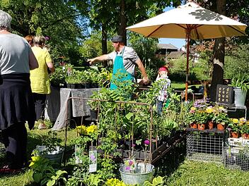 Bei der Stettfelder Gartenb&ouml;rse gibt es nicht nur Tomaten- und Chili-Pflanzen in allen Variationen oder auch sonstige Gem&uuml;sepflanzen. An vielen St&auml;nden gibt es auch die ein oder andere Rarit&auml;t.