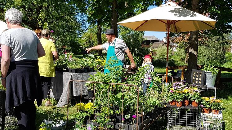 Bei der Stettfelder Gartenb&ouml;rse gibt es nicht nur Tomaten- und Chili-Pflanzen in allen Variationen oder auch sonstige Gem&uuml;sepflanzen. An vielen St&auml;nden gibt es auch die ein oder andere Rarit&auml;t.