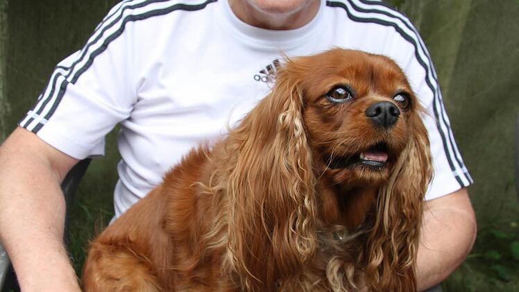 Herrchen Karl-Heinz Stieglitz nahm seinen Cavalier King Charles-Terrier auf den Schoß.
