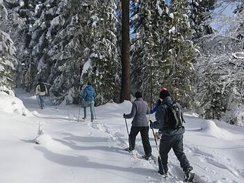Schneeschuhwandern durch die romantische Winterlandschaft bei Gößweinstein Foto: Katja Brütting