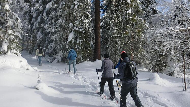 Schneeschuhwandern durch die romantische Winterlandschaft bei Gößweinstein Foto: Katja Brütting