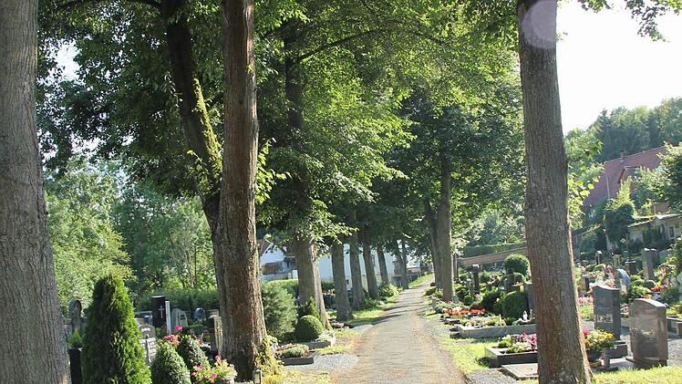Die großen Bäume im Friedhof Unterrodach stören viele Grabbesitzer.