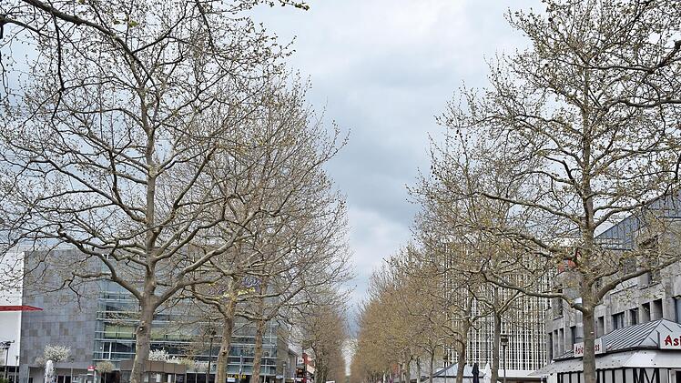 120 Teilnehmer zählte der Protestzug von Fridays for Future in Erlangen.