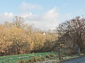 Idyll mit Vesteblick: Weil der Hofbräugrund westlich der Stadt liegt und damit in der Hauptwindrichtigung. Deshalb ist er geschützter Landschaftsbestandteil. Hinweistafeln lassen keinen Zweifel: Hunde sind im Hofbräugrund an der Leine zu führen. Fotos: Simone Bastian, Fotomontage: Michael Beetz