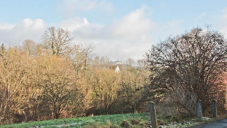 Idyll mit Vesteblick: Weil der Hofbräugrund westlich der Stadt liegt und damit in der Hauptwindrichtigung. Deshalb ist er geschützter Landschaftsbestandteil. Hinweistafeln lassen keinen Zweifel: Hunde sind im Hofbräugrund an der Leine zu führen. Fotos: Simone Bastian, Fotomontage: Michael Beetz